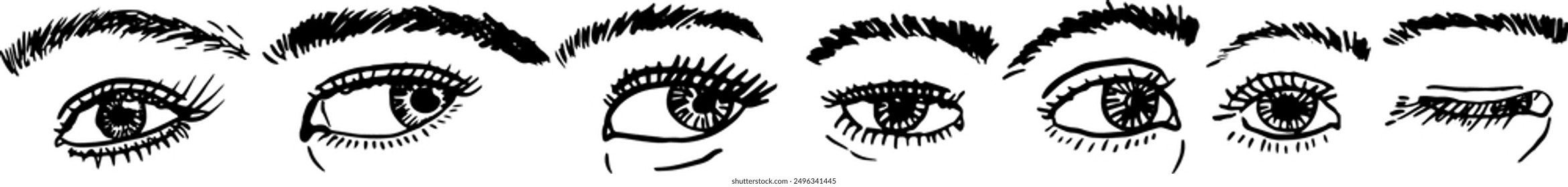 Expressive eyes hand drawing. Eyebrows eyelashes look. Vector illustration.	
