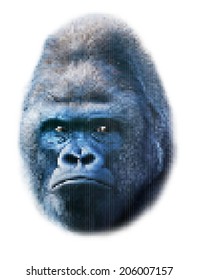 Expressive face portrait of a gorilla male, severe silverback, isolated on white background. Menacing side look of the great ape, the most dangerous and biggest monkey. Amazing mosaic vector image.