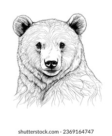 Vector De Cabeza De Oso De Mano Expresiva Elemento De Diseño Versátil