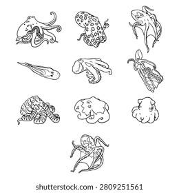 Expressive Octopus And Squid Outline Illustration Bundle