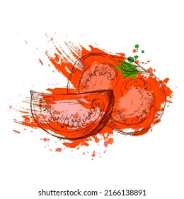 Expressive sketch of sliced tomatoes in grunge style isolated on white