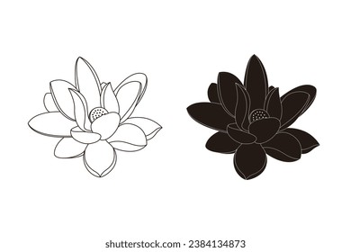 Exquisite and beautiful hand-painted vector illustration of lotus