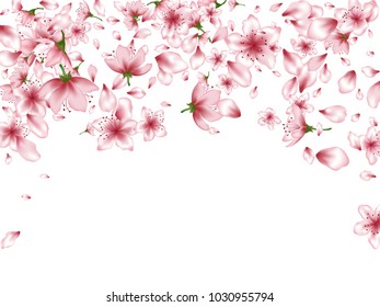 Exquisite blossom elements, apple or japanese sakura petals flying and flowers falling vector illustration. Cherry petals and pink flower vector elements flying, bloom confetti.  