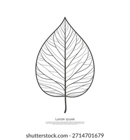 Exquisite botanical illustration featuring a thin outline of a leaf with a dense network of internal veins, celebrating natural beauty.