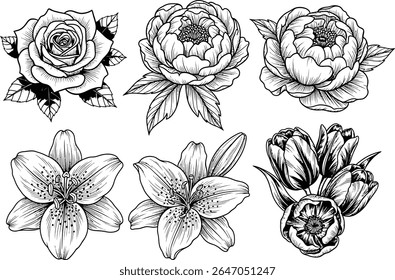 Exquisite Botanical Line Art Collection Featuring Roses, Peonies, Lilies, and Tulips in a Striking Black and White Composition