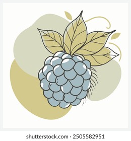 Exquisita Ilustración vectorial de frutas de Boysenberry