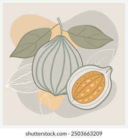 Exquisite Bribe Tree Vector Illustration, Detailed Depiction of the Tropical Fruit bearing Annona Species
