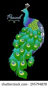 Exquisite bright peacock on a black background