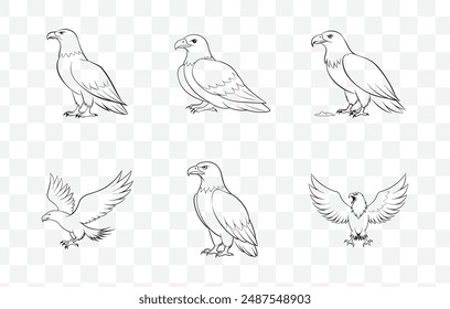 Exquisite Collection of Detailed Eagle Line Art Vector Illustrations for Creative Design and Artistic Projects