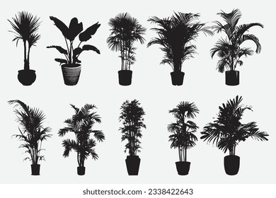 Exquisite Collection of Palm Tree Silhouettes with Pots, Enchanting Tropical Oasis in Vector Art
