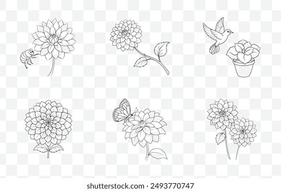 Exquisite Dahlia Line Art Vector Set for Floral Illustrations and Botanical Designs