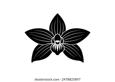 Exquisite and detailed, this vector illustration captures the graceful allure of a Ginger orchid with artistic finesse.