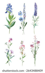 Exquisite floral illustration featuring bluebell, mixed bouquet. A vibrant and delicate botanical artwork, ideal for decor, nature lovers, and artistic projects seeking elegance and charm.