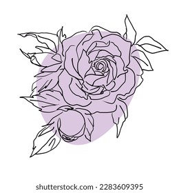 Exquisite Hand-Drawn Vector Illustration of Rose with Leaf and Vibrant Violet Spots
