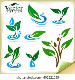 Exquisite icons of leaves 