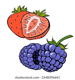 An Exquisite Illustration Featuring Fresh Strawberries and Blackberries Together. Vector 