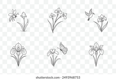 Exquisite Iris Line Art Vector Set for Designers Illustrators and Artists