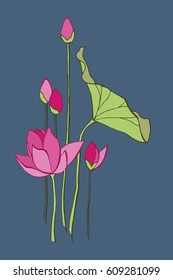 Exquisite Lotus Flowers