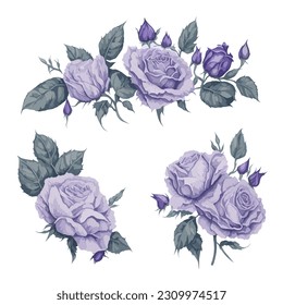 Exquisite Purple Rose Watercolor Floral Collection.