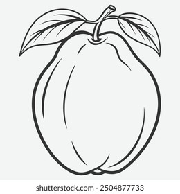 Exquisite Quince Line Art Illustration