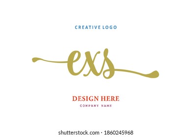 EXS lettering logo is simple, easy to understand and authoritative