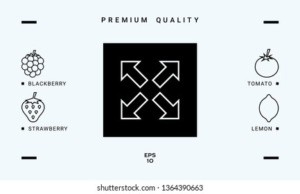 Extend, resize line icon. Graphic elements for your design
