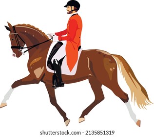 An extended trot in dressage. Vector illustration