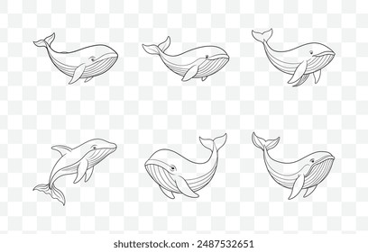 An Extensive Collection of Beautifully Detailed Whale Line Art Vector Illustrations for Creative Design Projects