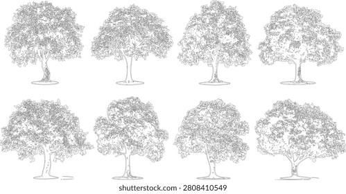 An extensive collection eight