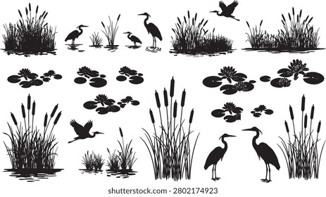 Extensive compilation of wetland and swamp ecosystem elements. The collection includes silhouettes of diverse aquatic plants like reeds and water lilies, alongside various water birds such as herons and egrets, ideal for nature-themed designs.