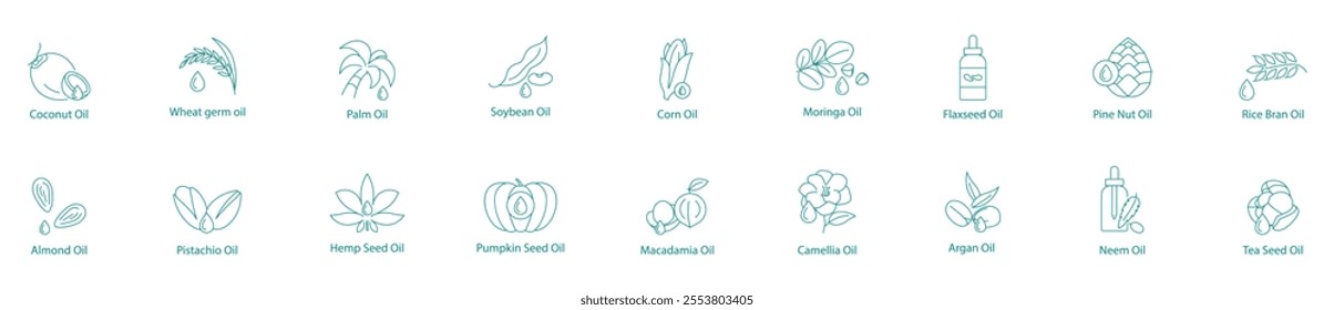 Extensive Plant Oils Vector Icon Set: Coconut, Wheat Germ, Palm, Soybean, Corn, Moringa, Flaxseed, Pine Nut, Rice Bran, Almond, Pistachio, Hemp, Pumpkin, Macadamia, Camellia, Argan, Neem, Tea Seed