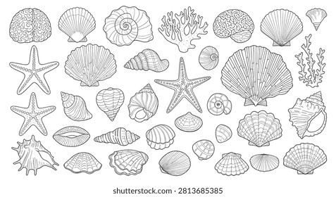 Extensive set of hand drawn ocean themed sketches including various seashells, starfish, and different types of coral.