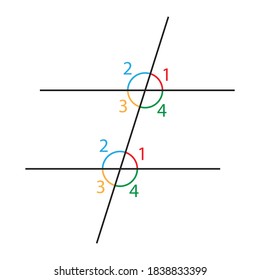 exterior and interior angles on white background