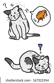 extermination of cat flea