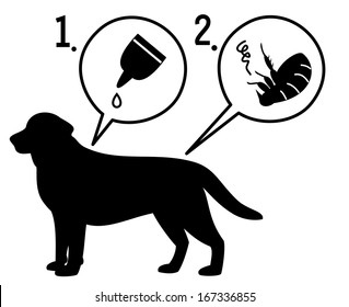 extermination of dog fleas