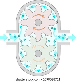 External Gear Pump