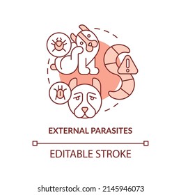 External parasites terracotta concept icon. Disease risk for dogs abstract idea thin line illustration. Tapeworms, mites. Isolated outline drawing. Editable stroke. Arial, Myriad Pro-Bold fonts used