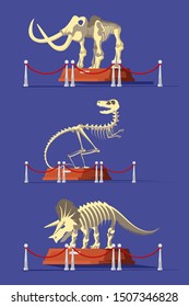 Extinct animals bones vector illustrations set. Prehistoric wildlife. Mammoth, tyrannosaurus rex and triceratops skeletons. Paleontology museum showpieces, ancient creatures remains exposition