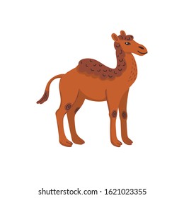 Extinct animals. Camelops, western camel. Prehistoric extinct american one-humped camel. Flat style vector illustration isolated on white background