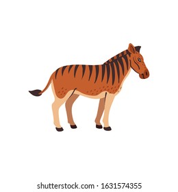 Extinct animals. Quagga. Prehistoric extinct north american striped horse, hybrid of zebra and horse. Flat style vector illustration isolated on white background