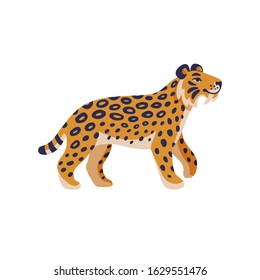 Extinct animals. Saber-tooth cat. Prehistoric extinct american tiger. Flat style vector illustration isolated on white background