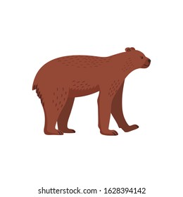 Extinct animals. Short-faced bear. Prehistoric extinct american bear. Flat style vector illustration isolated on white background