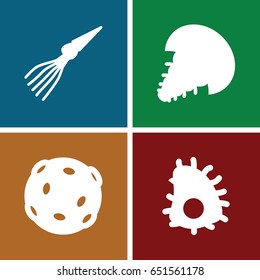 Extinct icons set. set of 4 extinct filled icons such as