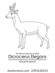 An extinct species of deer Dicrocerus Elegans from Miocene epoch. Black and white line art, perfect for coloring and educational purposes.