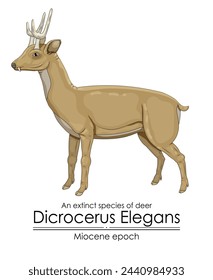 Una especie extinta de ciervos Dicrocerus Elegans de la época del Mioceno. 