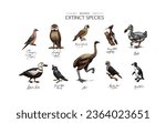Extinct species. Wild mammal animals and birds.Dodo. Moa Passenger pigeon Great auk. Penguin. Mascarene parrot. Labrador duck. Laughing owl. Hand drawn vector engraved sketch. Graphic vintage style. 