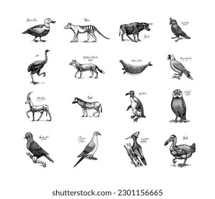 Extinct species. Wild mammal animals and birds. Dodo, Moa, Tasmanian wolf, Quagga. Aurochs. Blue antelope. Hand drawn vector engraved sketch. Graphic vintage style. 