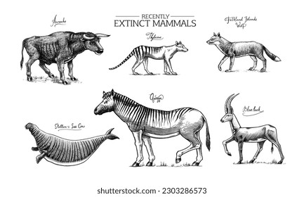 Extinct species. Wild mammal animals and birds. Tasmanian wolf, Quagga. Aurochs. Blue antelope. Steller's sea cow. Hand drawn vector engraved sketch. Graphic vintage style. 