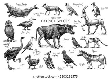 Extinct species. Wild mammal animals and birds. Dodo, Moa, Tasmanian wolf, Quagga. Aurochs. Blue antelope. Hand drawn vector engraved sketch. Graphic vintage style. 