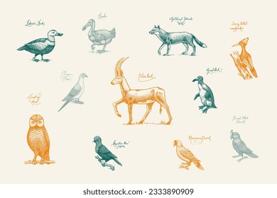 Extinct species. Wild mammal animals and birds. Dodo, Moa, Tasmanian wolf, Quagga. Aurochs. Blue antelope. Hand drawn vector engraved sketch. Graphic vintage style. 